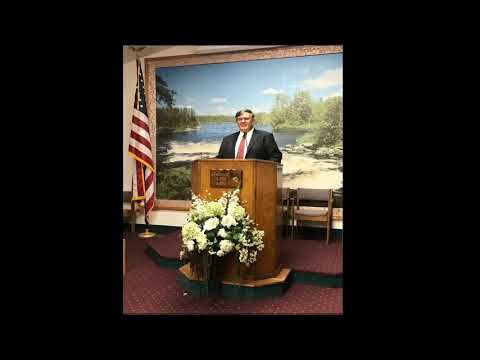 264 - Vitelul de aur