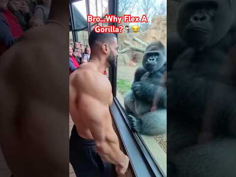 Gorilla Copies Man Flexing And Wins Instantly 😂 #subcribe #shorts