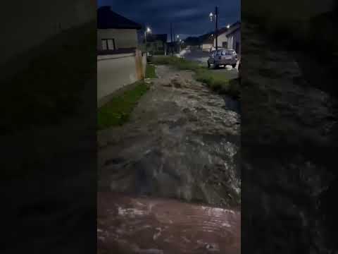 Panică în localitatea Scoreiu din județul Sibiu