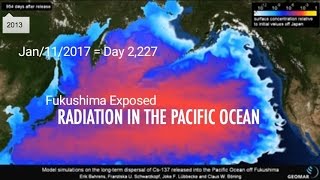 Ocean Contamination Time Lapse:  Fukushima Exposed