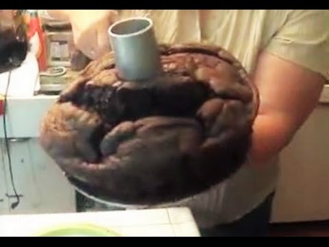 Chocolate Angel Food Keto cake