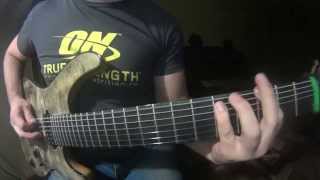 Tesseract - Lament (guitar cover Anton Borisov)