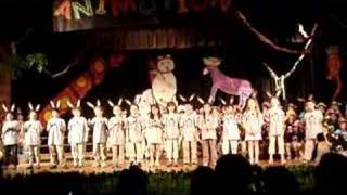 Osborn School Play 1st Grade Rye NY Kangaroos - MyRye.com