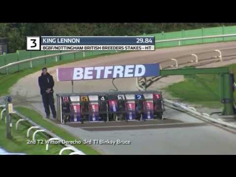 2019 BGBF BRITISH BREEDERS STAKES - HEAT 6 - T3 KING LENNON