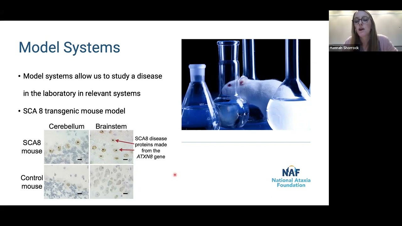Research and Treatment Development for SCA8