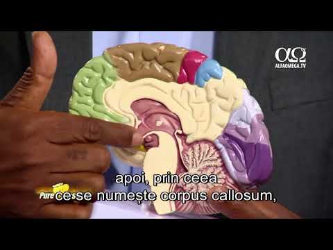 Pure Passion 7.15 - The Brain and Trauma - Dr. Jerry Mungadze (1)