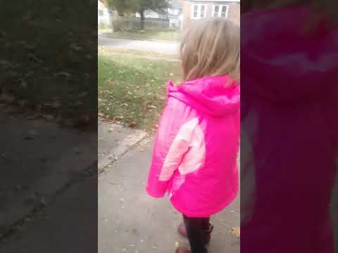 ACA Allertor niles mi