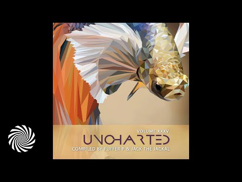 Bitkit - Optical Future