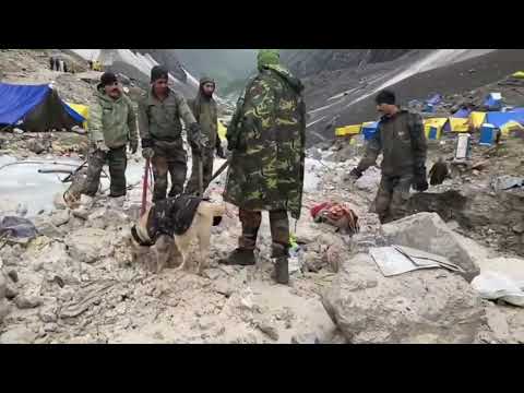 Sniffer Dogs on-site in Rescue Operations || Amarnath Yatra Cloud Burst || Indian Army