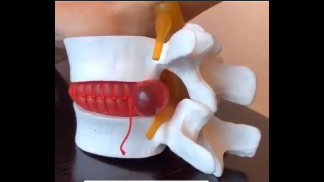 Avelino Ricardo Barradas Correa-6