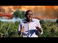 Paul Tengecha Komongu