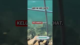 Download lagu TODAY IS SATURDAY #myprayertoday #muslimdailyprayer #prayerofhope #prayerofmustajab #prayerofself... mp3