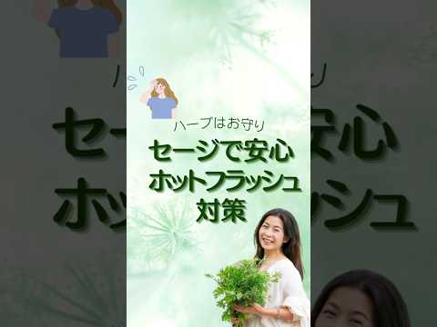 医療ビジネス薬科学科 🌿セージで安心ホットフラッシュ対策🌿 #shorts #ハーブ #体質改善