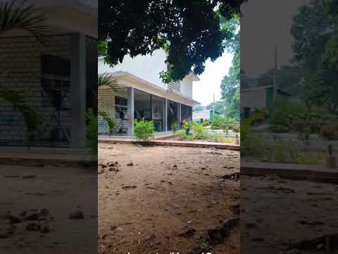 colegio Pedro Celestino Muñoz 👍 #colegio #anzoategui #piritu