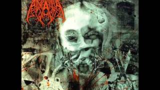Anata - Shackled To Guilt