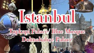 【イスタンブール/Istanbul Vlog】トプカプ宮殿とブルーモスクを巡る｜Topkapi Palace & Blue Mosque Tour