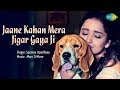 Jaane Kaha Mera Jigar Gaya Ji जाने कहाँ मेरा जिगर गया जी R