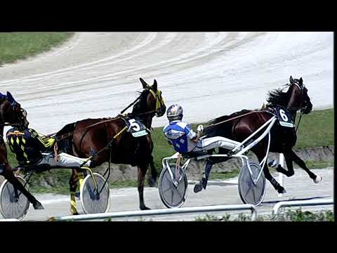 Napoli Trotto 05/05/2023 - 1ª corsa