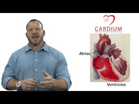 What is Ejection Fraction?