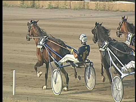 Trotto 15/06/2017 - 7ª corsa