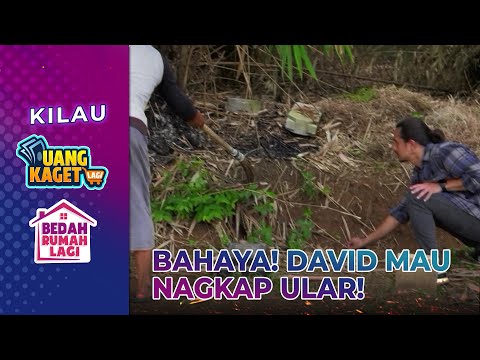Saat Bersihin Kuburan! Ada Ular Besar!! - Kilau Uang Kaget & Bedah Rumah