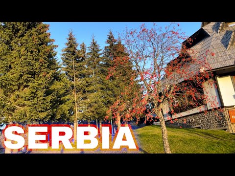 Beautiful place in SERBIA - KOPAONIK / Gorski Hotel Room Tour / Serbia DAY 3 @tizzjuno