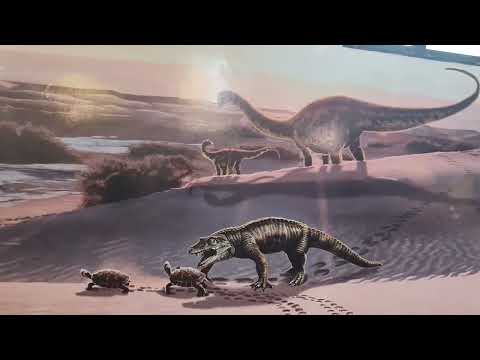 Villa el chocón😃visitamos el museo de los dinosaurios 