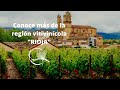 Conoce la historia y características de la región vitivinicola "Rioja".