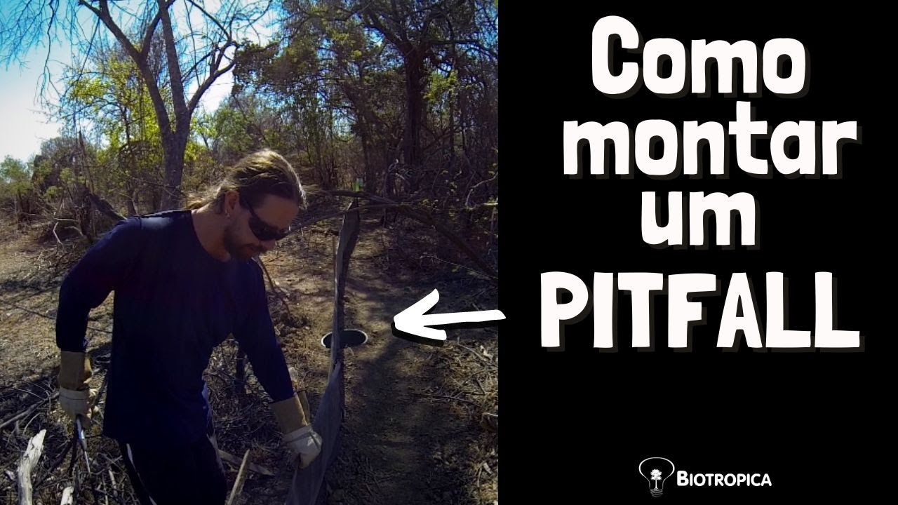 COMO MONTAR UMA ARMADILHA PITFALL