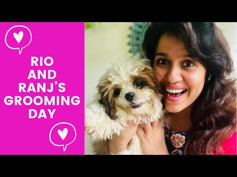 Rio and Ranj’s Grooming Day |Ranjini Haridas Vlogs