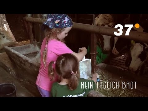 37 °: Mein täglich Brot (Doku, Dezember 2016)