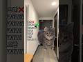 WiWiWi Cat Likes Gangnam Style