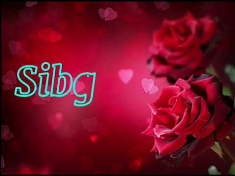 Happy birthday sibgha noor ❤❤❤