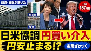 【15年ぶり】日本とアメリカが いっしょに円を買った!? 円安と協調介入を犬がやさしく解説【ごんたニュース】