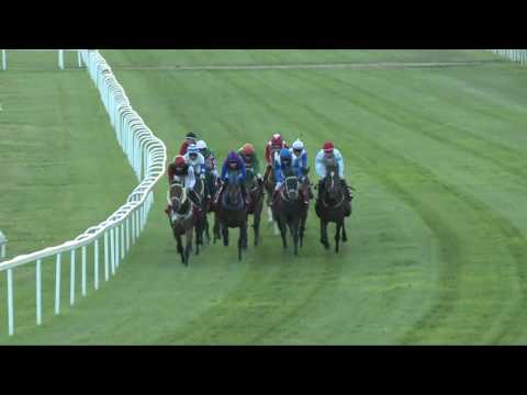 2017.07.02. 10. futam - 95. MAGYAR DERBY (HUN Gd-1) (NGL - IV.)