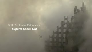 Experts Speak Out (2012 documentary)