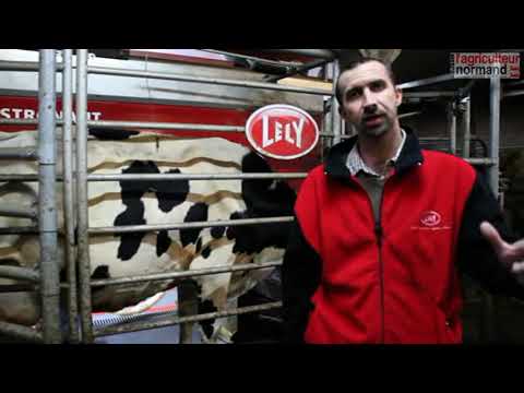 Un robot rouge pour un élevage  dans le vert !