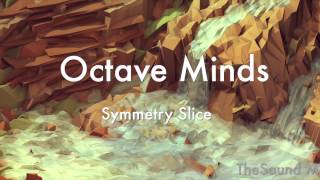 Octave Minds - Symmetry Slice