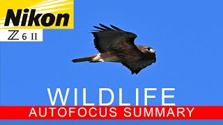 Nikon Z6II | Wildlife Autofocus Review