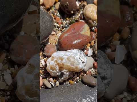 Beach agate. #agate #beach #chalcedony