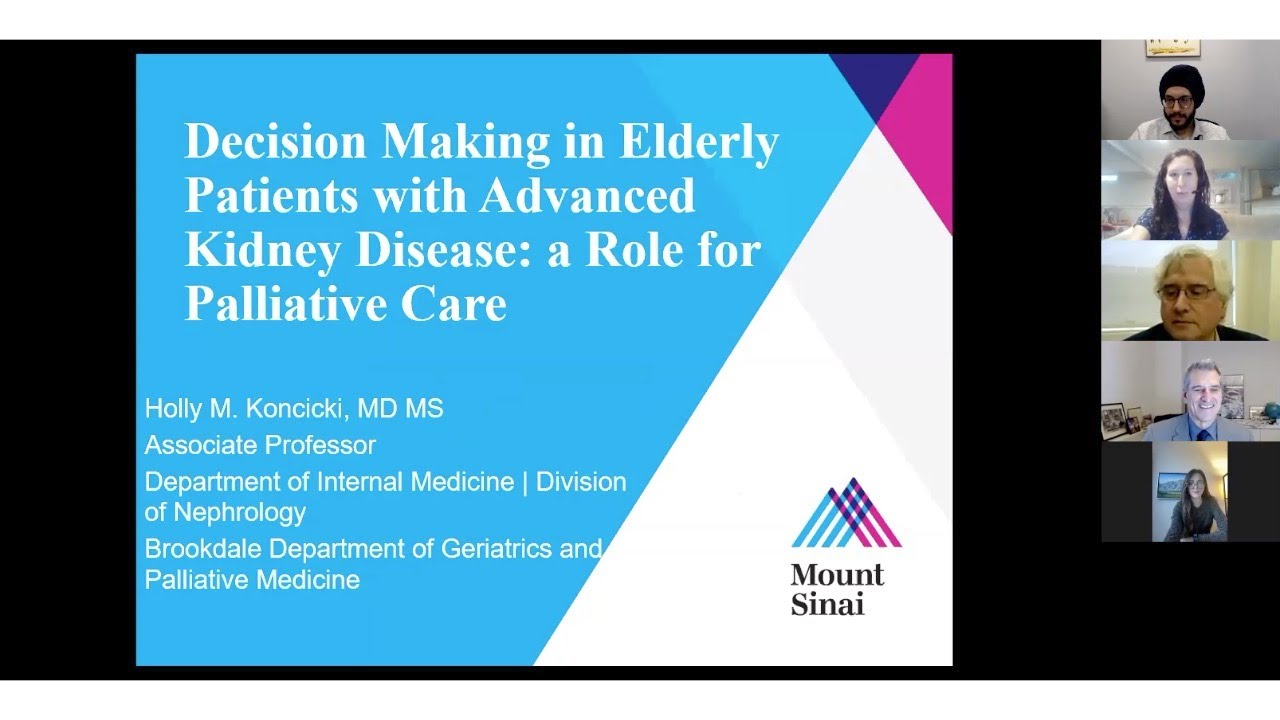 Decision Making in Elderly Patients with Advanced Kidney Disease: a Role for Palliative Care