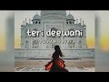 Teri Deewani ( slowed reverb ) | Kailash Kher | song City