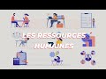 Les Ressources Humaines C Est Quoi Dans Une Entreprise