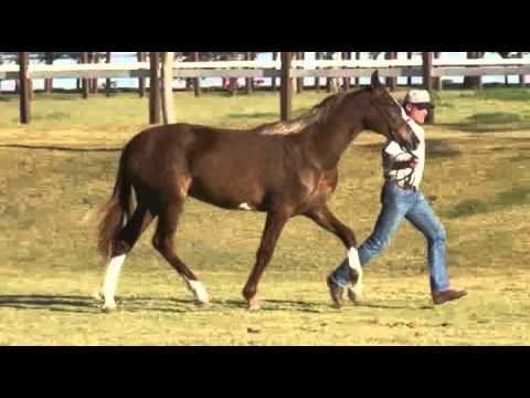 Tieta do Otnacer.mp4