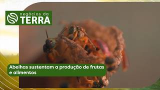 Miniatura do vídeo