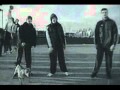 CYA - Socijala 