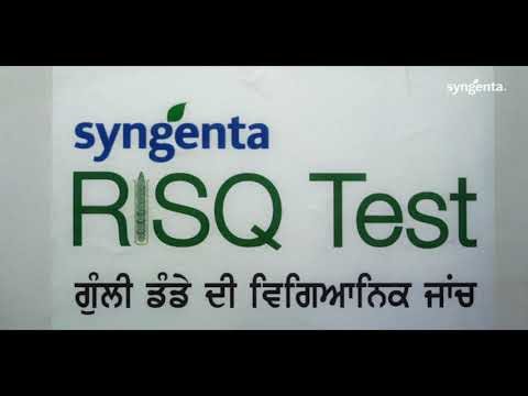 Syngenta RISQ Test | Grower Testimonial | Patiala - Punjab