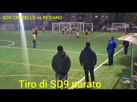 Highlights SDS CINISELLO vs DESIANO