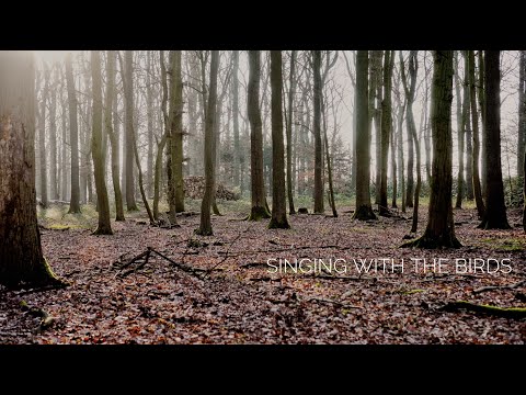 Jan Loechel - We are (Singing with the Birds)