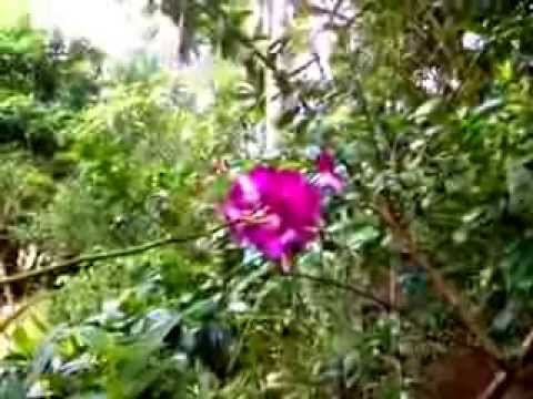 TOP SECRETS OF MEDITATION